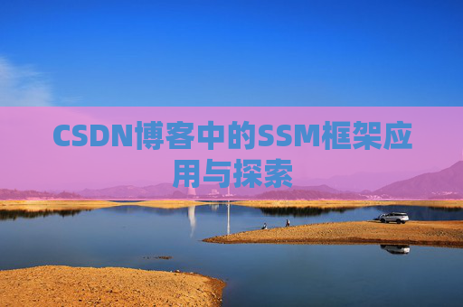 CSDN博客中的SSM框架应用与探索